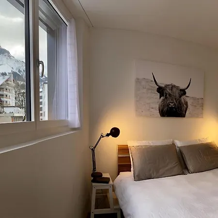 Apartment Snowkaya Appartement-Fewo 5-Bettwohnung By Interhome Apartman Engelberg