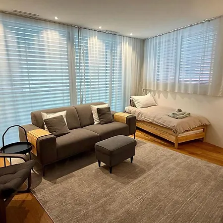 Apartment Snowkaya Appartement-Fewo 5-Bettwohnung By Interhome Engelberg