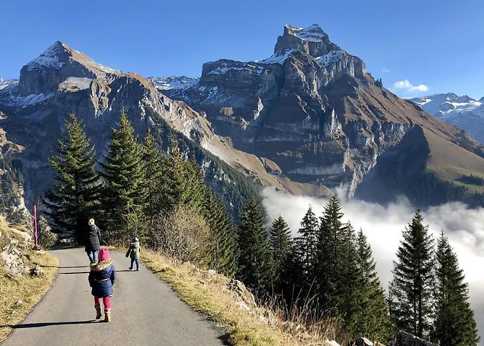 Snowkaya By Interhome Apartment *