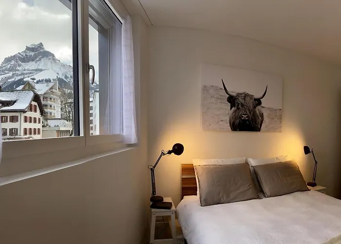 Snowkaya By Interhome Apartment Engelberg